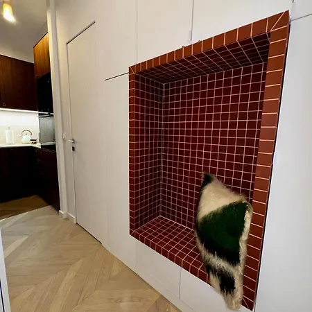 Berlioz - Splendid In Center Apartment Nice